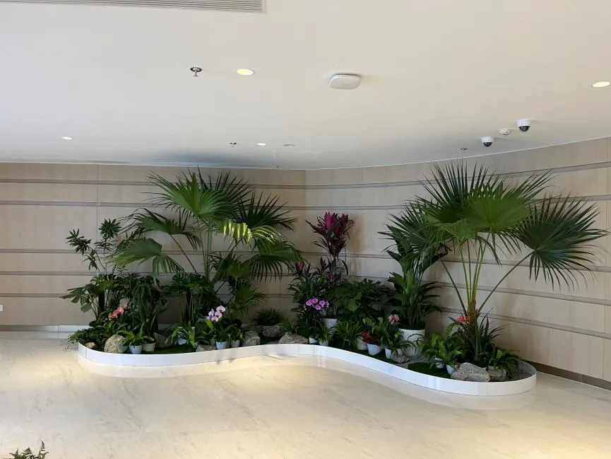 北仑绿植租摆设计